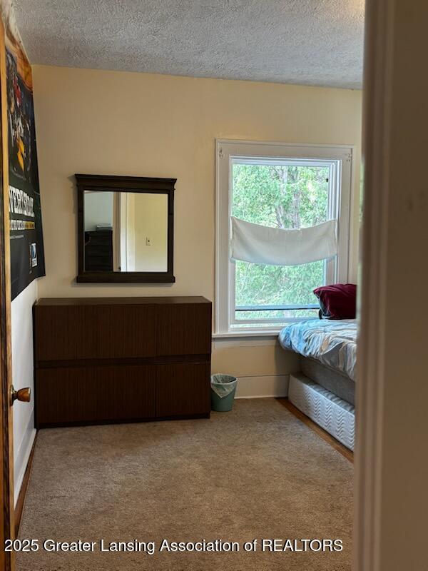 204 N Whittemore St, Saint Johns, MI 48879 - photo 32