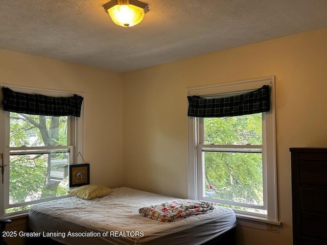 204 N Whittemore St, Saint Johns, MI 48879 - photo 36