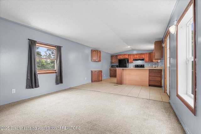 17208 28 Mile Rd, Albion, MI 49224 - photo 14