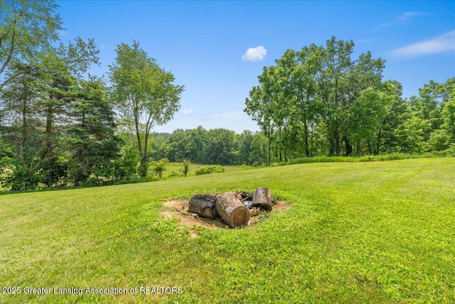 17208 28 Mile Rd, Albion, MI 49224 - photo 26