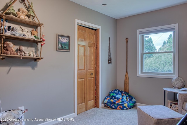 7712 S M 52, Owosso, MI 48867 - photo 28