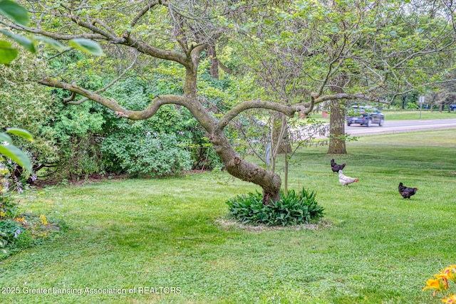7712 S M 52, Owosso, MI 48867 - photo 46