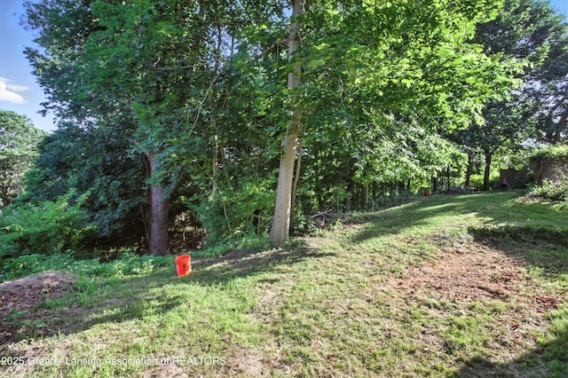 2329 Cumberland Rd, Lansing, MI 48906 - photo 37