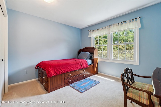 1315 Leeward Dr, Okemos, MI 48864 - photo 30