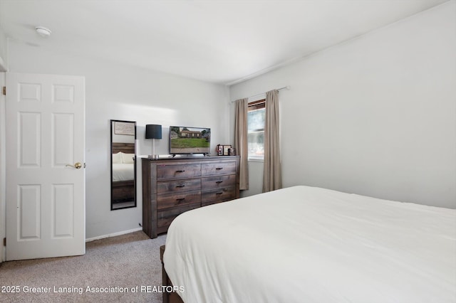 3207 Sunderland Rd, Lansing, MI 48911 - photo 17