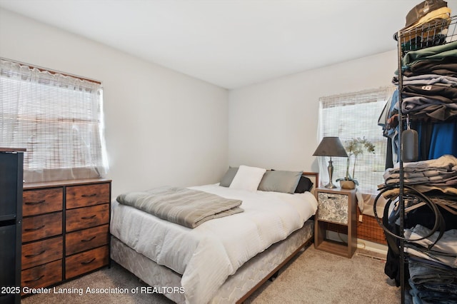 3207 Sunderland Rd, Lansing, MI 48911 - photo 18