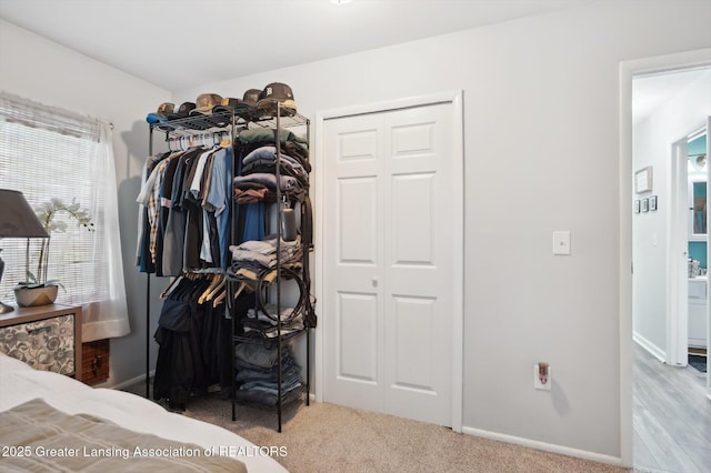 3207 Sunderland Rd, Lansing, MI 48911 - photo 19