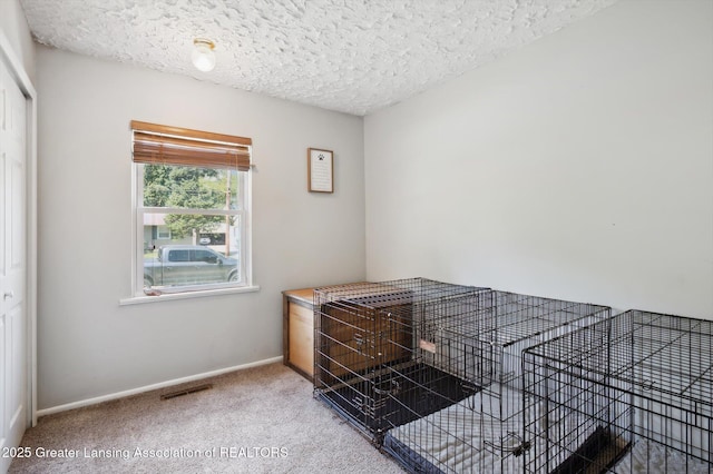 3207 Sunderland Rd, Lansing, MI 48911 - photo 20
