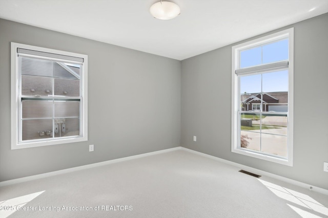 1228 Wineleaf Ln, Dewitt, MI 48820 - photo 27