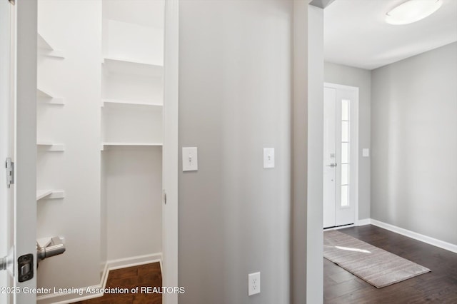 1228 Wineleaf Ln, Dewitt, MI 48820 - photo 30
