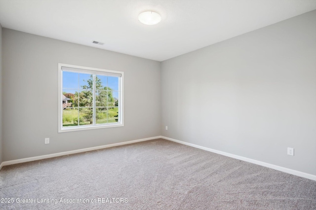 1228 Wineleaf Ln, Dewitt, MI 48820 - photo 31