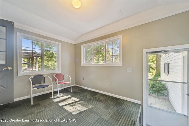 1412 N Harrison Rd, East Lansing, MI 48823 - photo 39