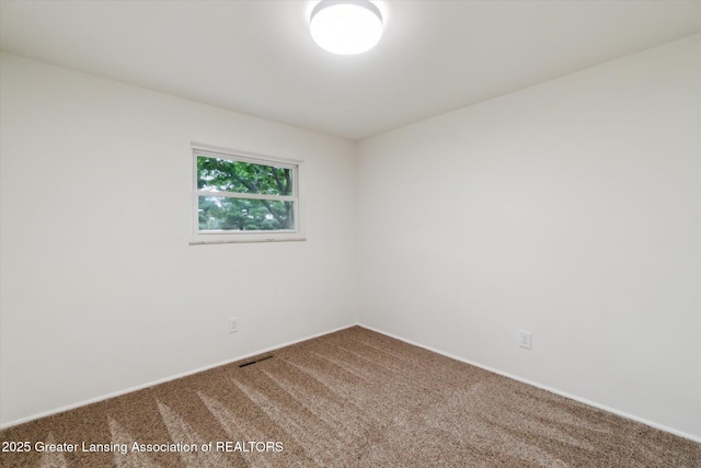 7870 Beardslee Rd, Owosso, MI 48867 - photo 33