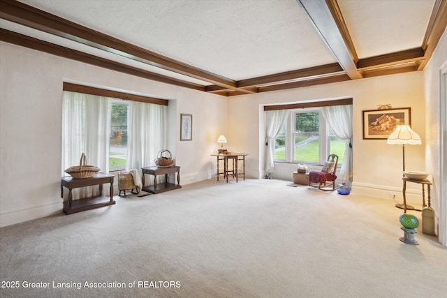 833 S Barnes St, Mason, MI 48854 - photo 10
