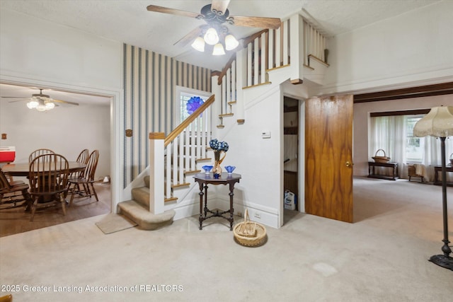 833 S Barnes St, Mason, MI 48854 - photo 20