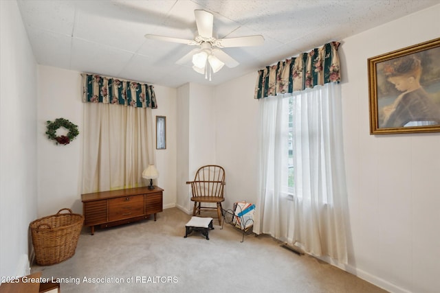 833 S Barnes St, Mason, MI 48854 - photo 29