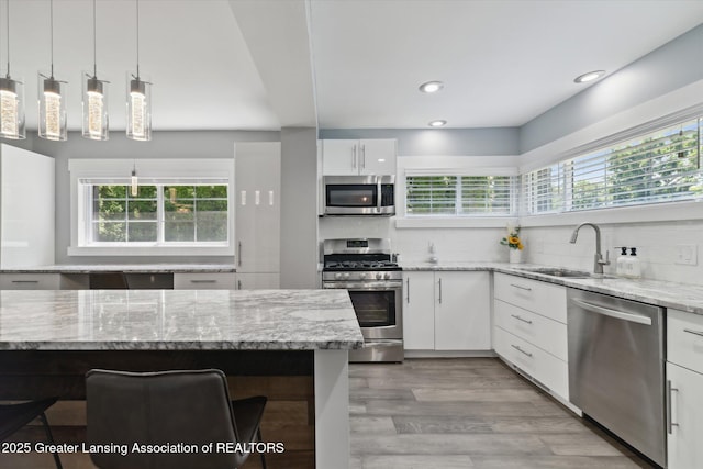 412 Rosewood Ave, East Lansing, MI 48823 - photo 10