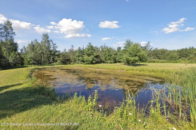1190 E Helmer Lake Rd, Fairview, MI 48621 - photo 36