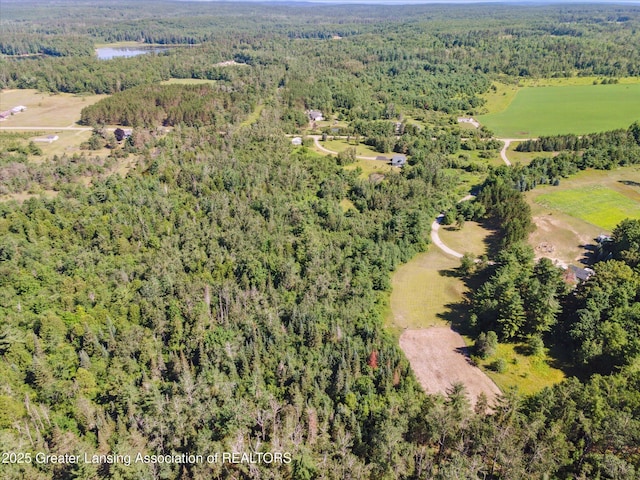 1190 E Helmer Lake Rd, Fairview, MI 48621 - photo 48