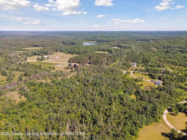1190 E Helmer Lake Rd, Fairview, MI 48621 - photo 49