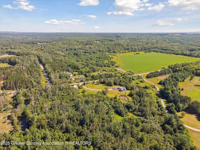 1190 E Helmer Lake Rd, Fairview, MI 48621 - photo 50