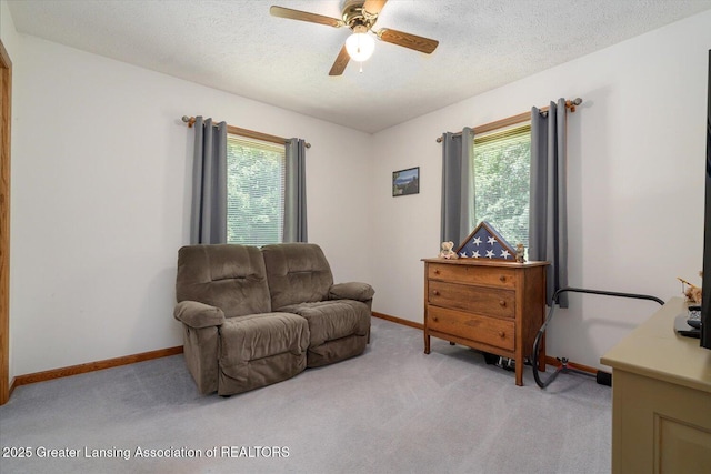 10788 N Clinton Trl, Sunfield, MI 48890 - photo 25