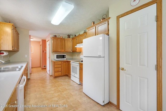 10788 N Clinton Trl, Sunfield, MI 48890 - photo 17