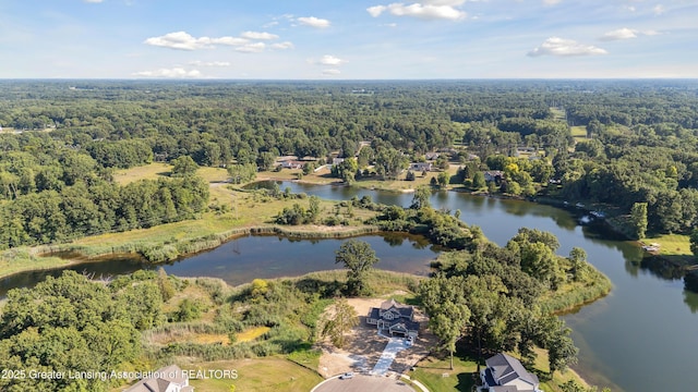 9640 Tobermory Dr, Haslett, MI 48840 - photo 84