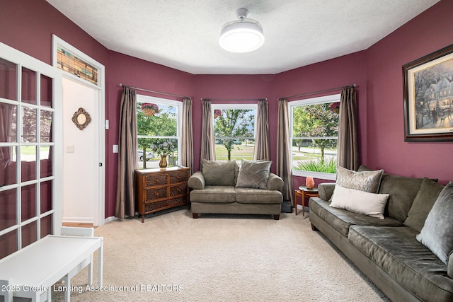 11656 Millstone Dr, Grand Ledge, MI 48837 - photo 13
