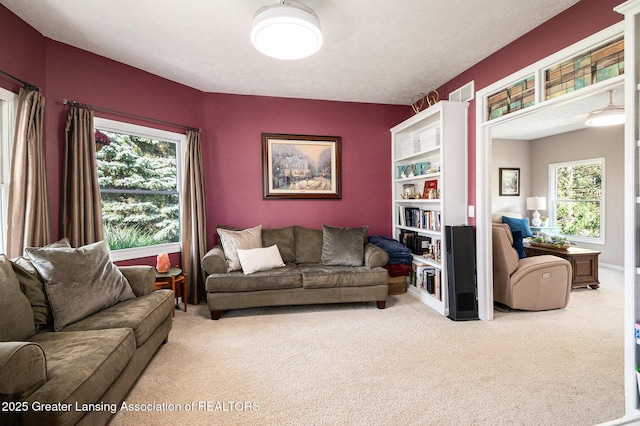 11656 Millstone Dr, Grand Ledge, MI 48837 - photo 14