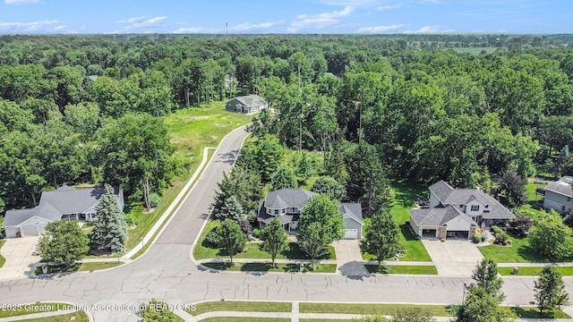 11656 Millstone Dr, Grand Ledge, MI 48837 - photo 40