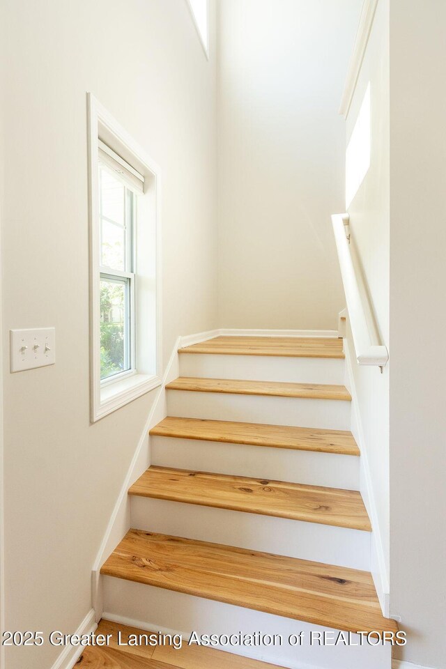 607 Virginia Ave, East Lansing, MI 48823 - photo 26