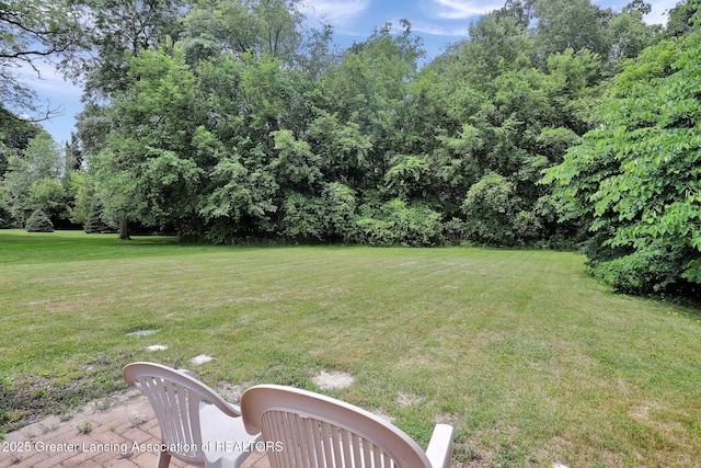 5195 E Brookfield Dr, East Lansing, MI 48823 - photo 47