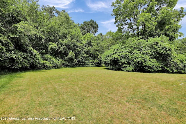 5195 E Brookfield Dr, East Lansing, MI 48823 - photo 48