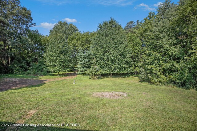 6379 Foster Rd, Haslett, MI 48840 - photo 32
