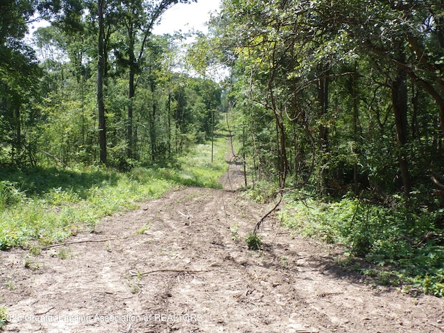 0 S Lacey Lake Rd, Bellevue, MI 49021 - photo 1