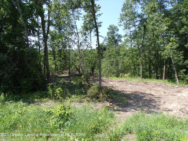 0 S Lacey Lake Rd, Bellevue, MI 49021 - photo 2