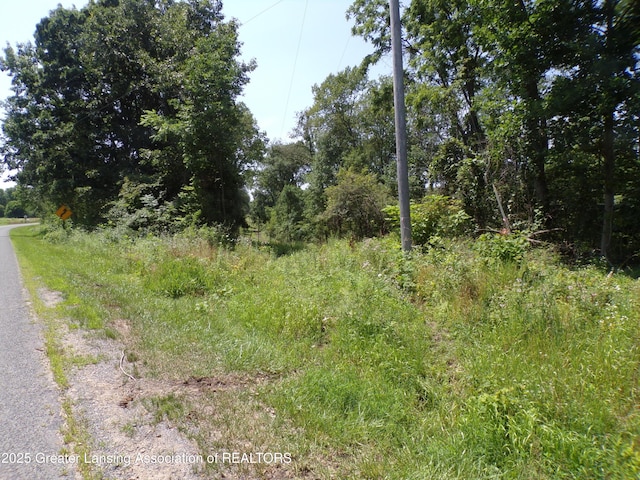 0 S Lacey Lake Rd, Bellevue, MI 49021 - photo 3