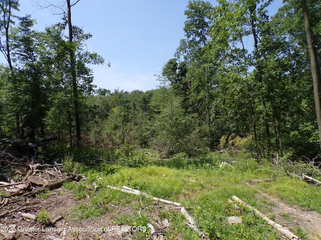 0 S Lacey Lake Rd, Bellevue, MI 49021 - photo 5