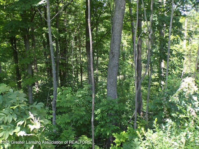 0 S Lacey Lake Rd, Bellevue, MI 49021 - photo 9