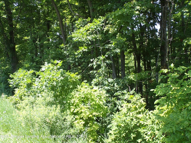 0 S Lacey Lake Rd, Bellevue, MI 49021 - photo 10