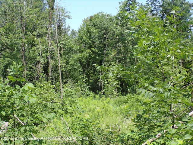 0 S Lacey Lake Rd, Bellevue, MI 49021 - photo 11