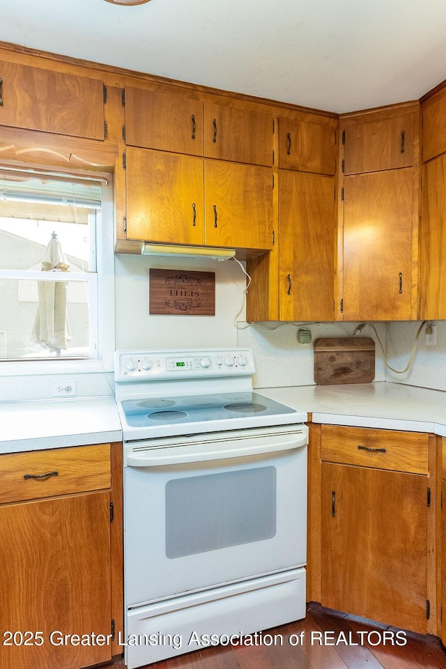 2865 Sherwood Rd, Williamston, MI 48895 - photo 13