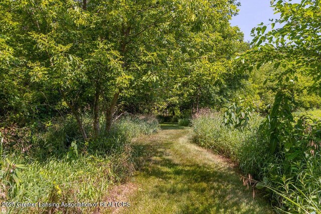 2865 Sherwood Rd, Williamston, MI 48895 - photo 59