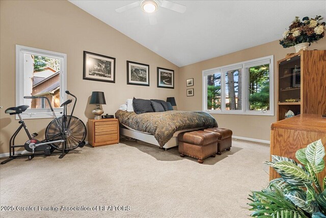 3980 Shoals Dr, Okemos, MI 48864 - photo 26