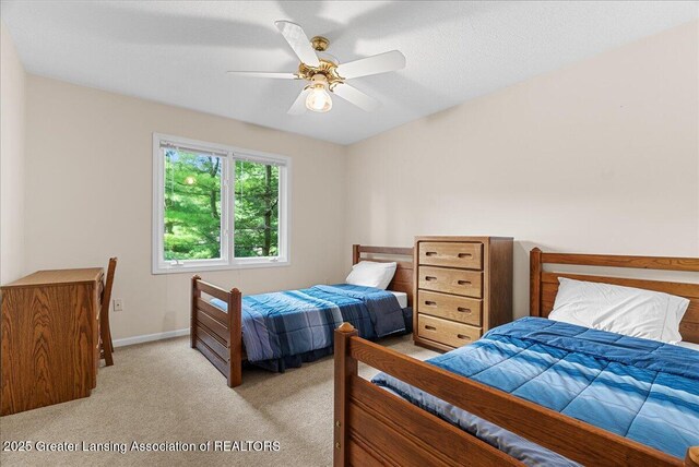 3980 Shoals Dr, Okemos, MI 48864 - photo 31