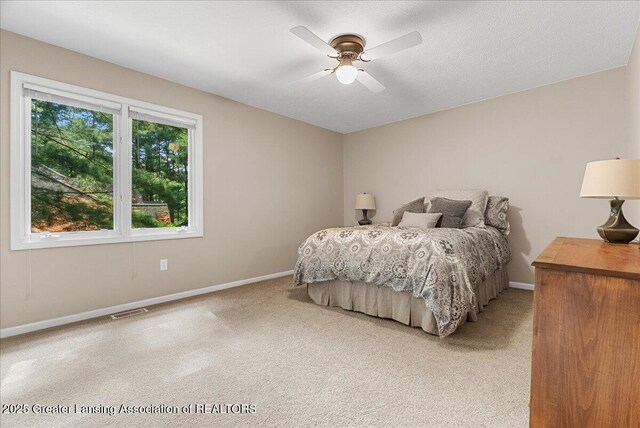 3980 Shoals Dr, Okemos, MI 48864 - photo 32