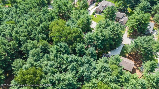 3980 Shoals Dr, Okemos, MI 48864 - photo 49