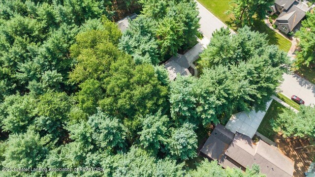 3980 Shoals Dr, Okemos, MI 48864 - photo 47
