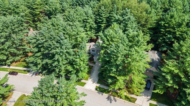 3980 Shoals Dr, Okemos, MI 48864 - photo 48